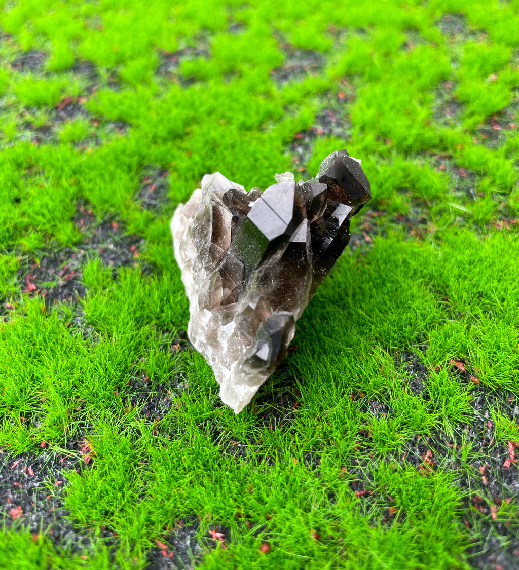 Smokey Quartz Cluster (Medium) image 0