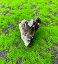 Smokey Quartz Cluster (Medium) image 0