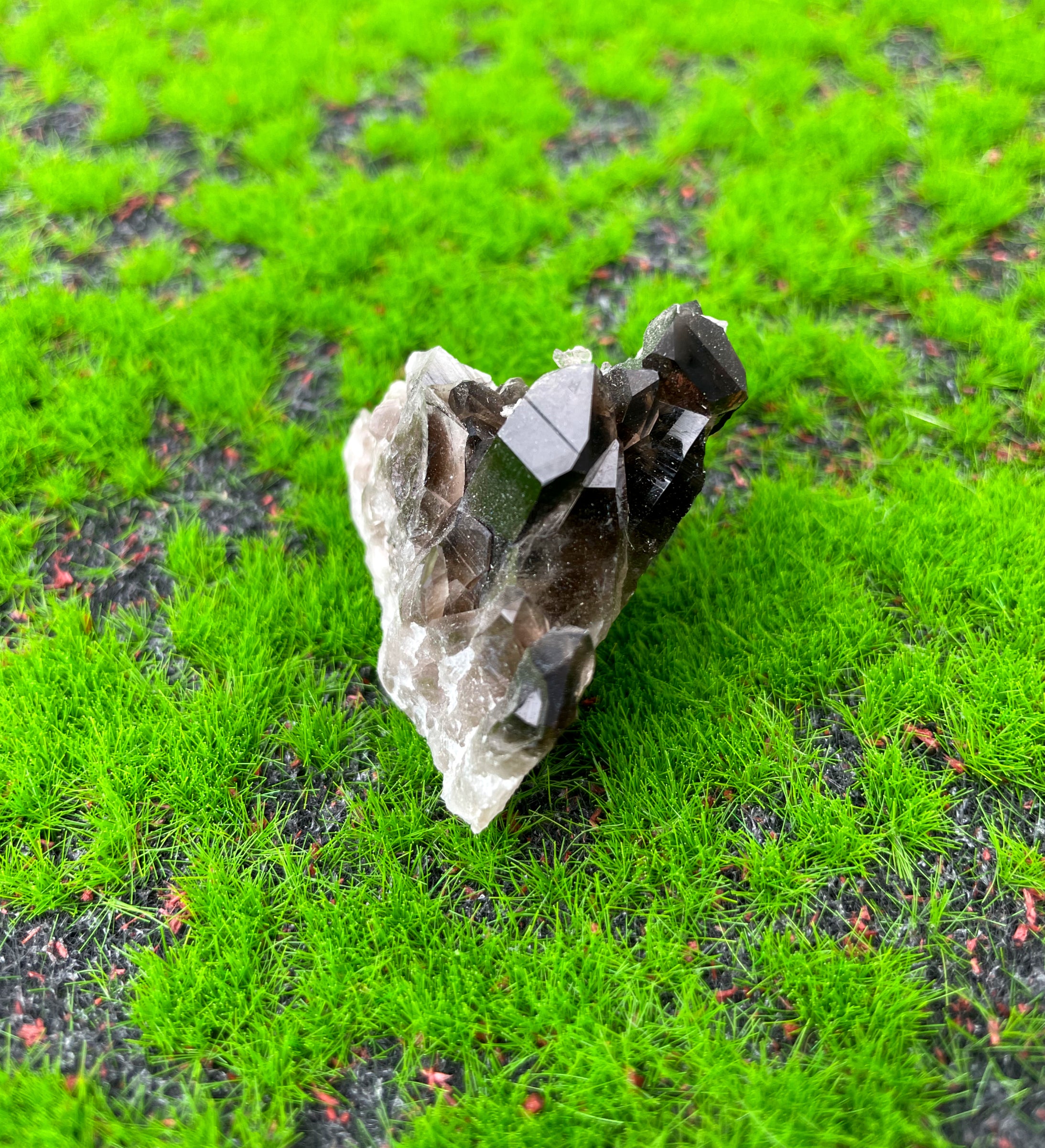 Smokey Quartz Cluster (Medium) image 0