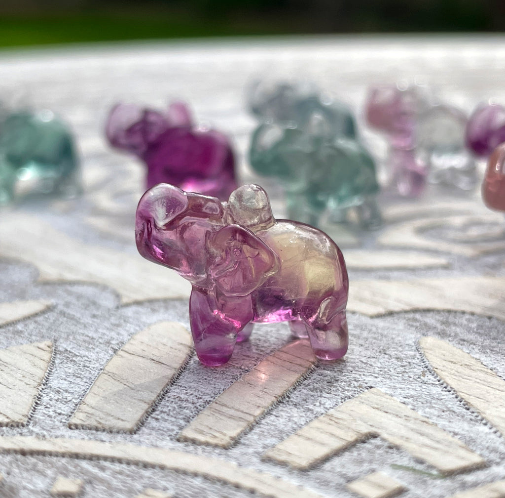 Rainbow Fluorite Mini Elephants image 4