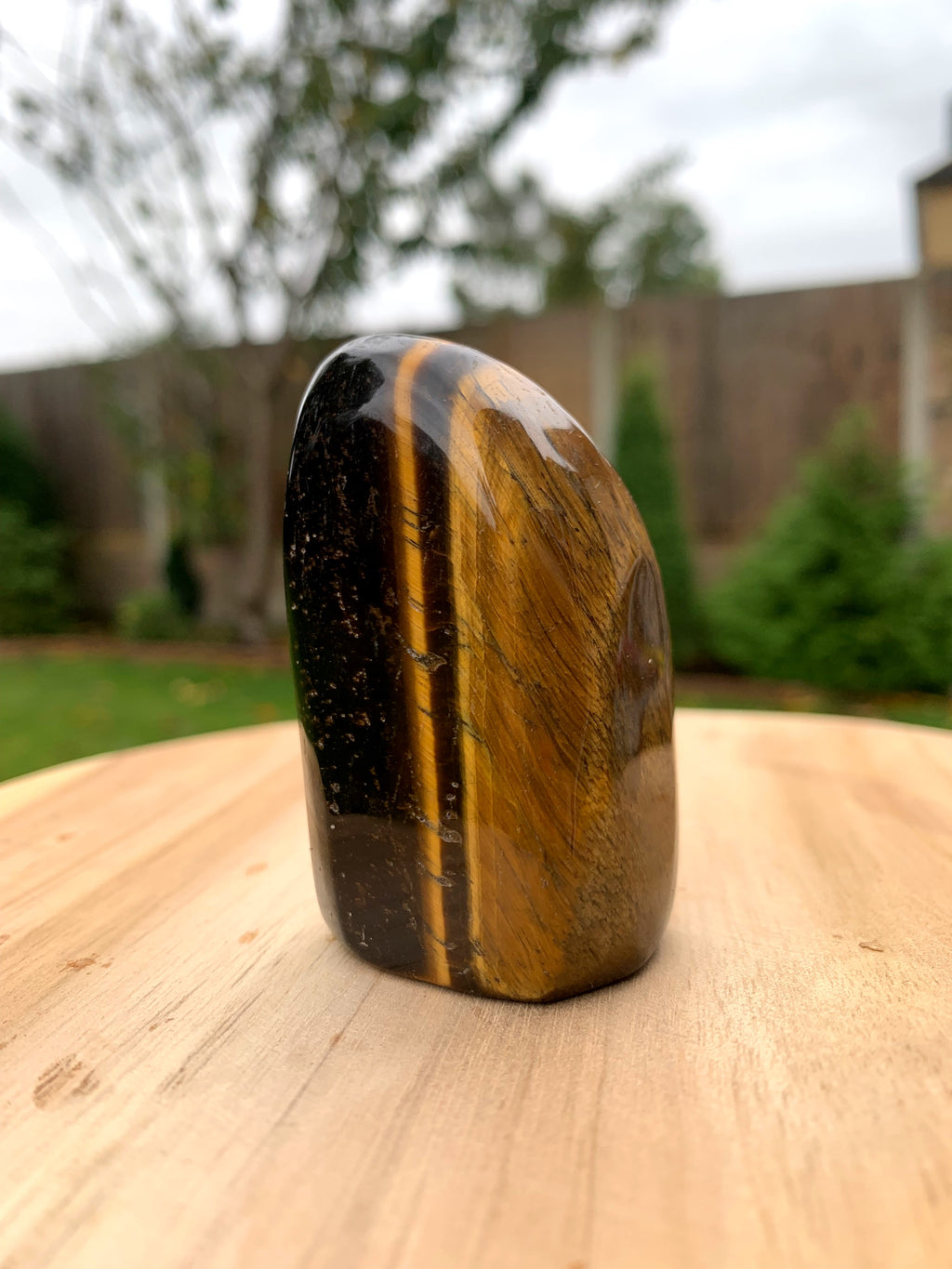 Tigers Eye Freeform image 0