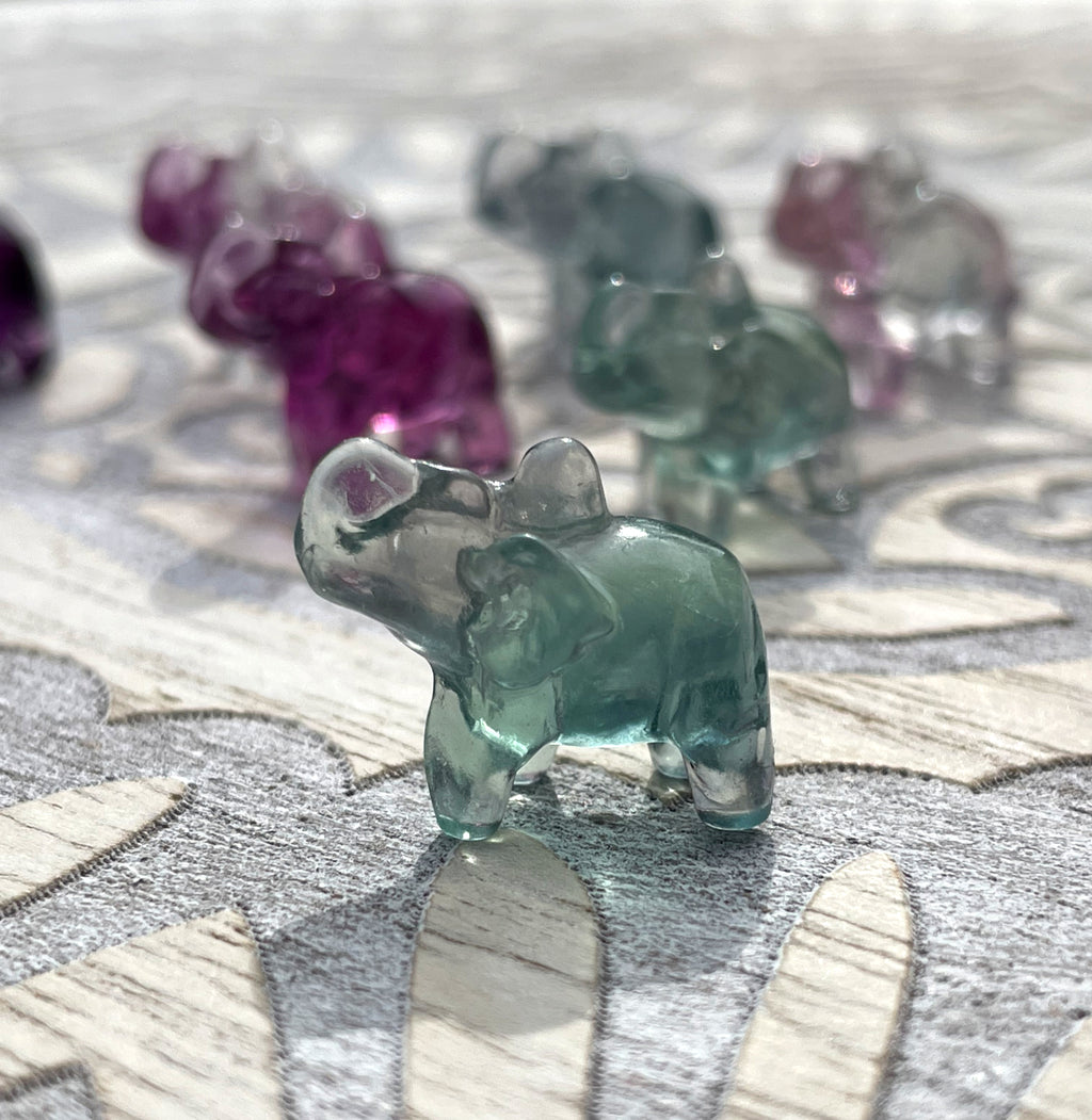 Rainbow Fluorite Mini Elephants image 1