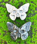 Silver Sheen Obsidian Skull Moth Carving image 0