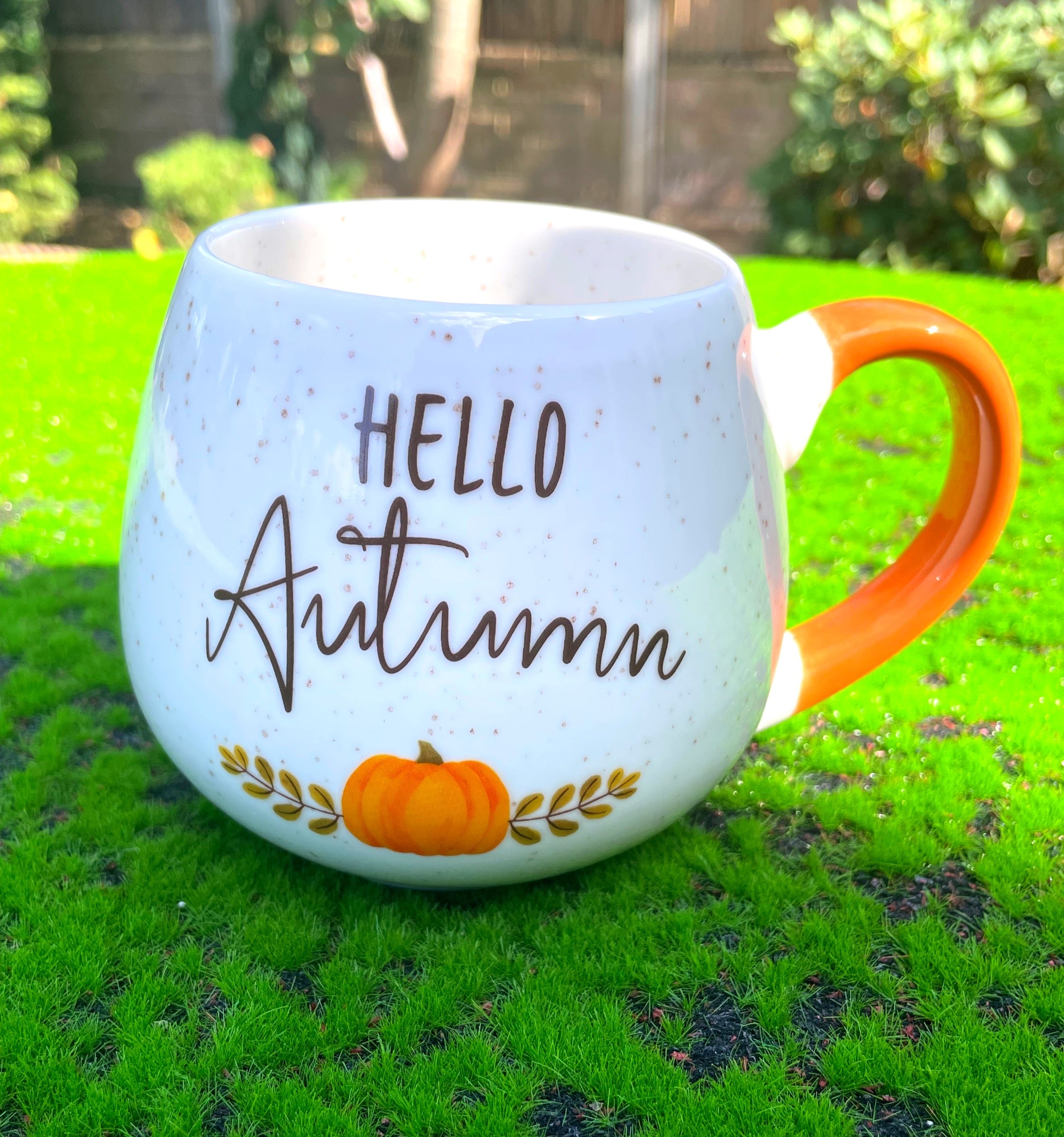 Hello Autumn Rounded Mug image 0
