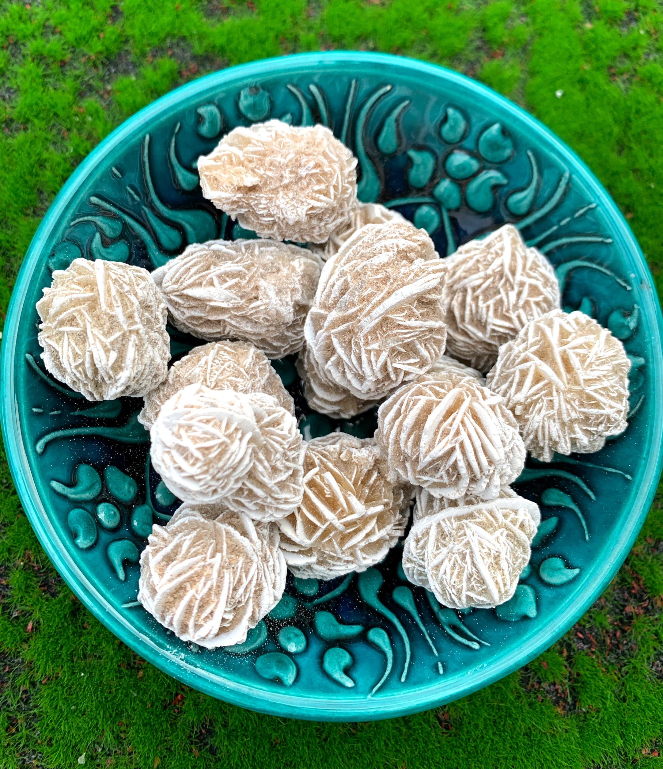 Desert Rose image 2