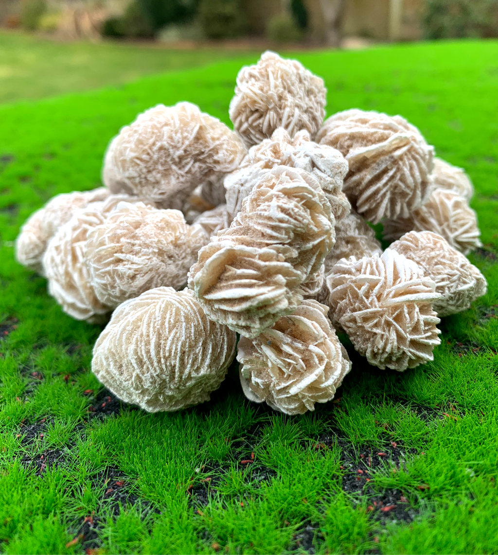 Desert Rose image 1
