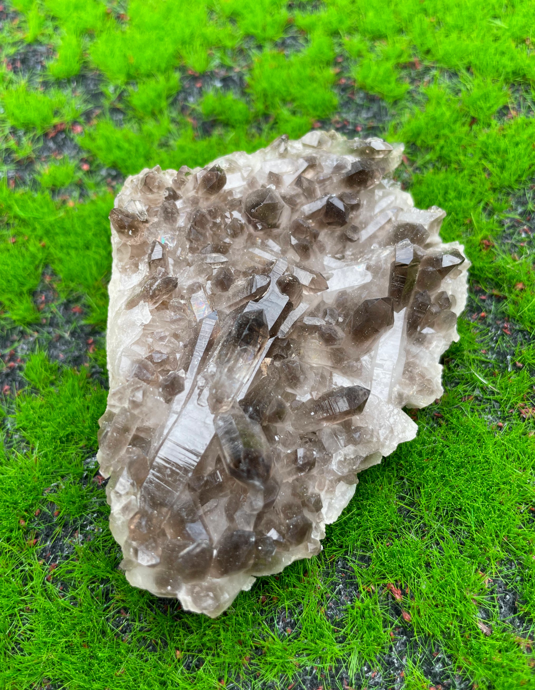 Smokey Quartz Cluster (Large) image 1