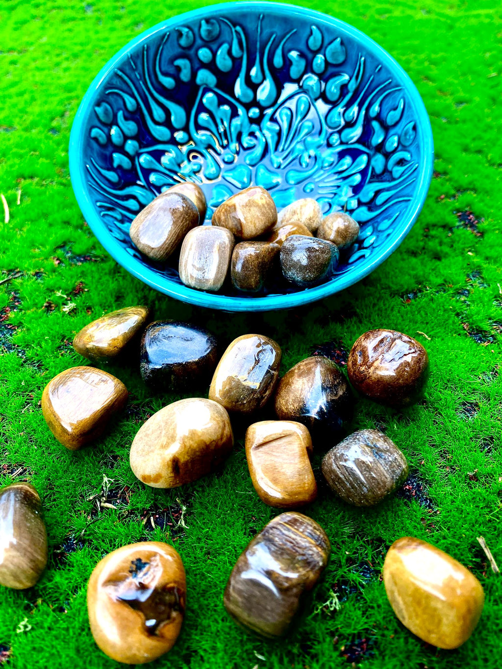 Fossil Wood Tumble-stones image 2