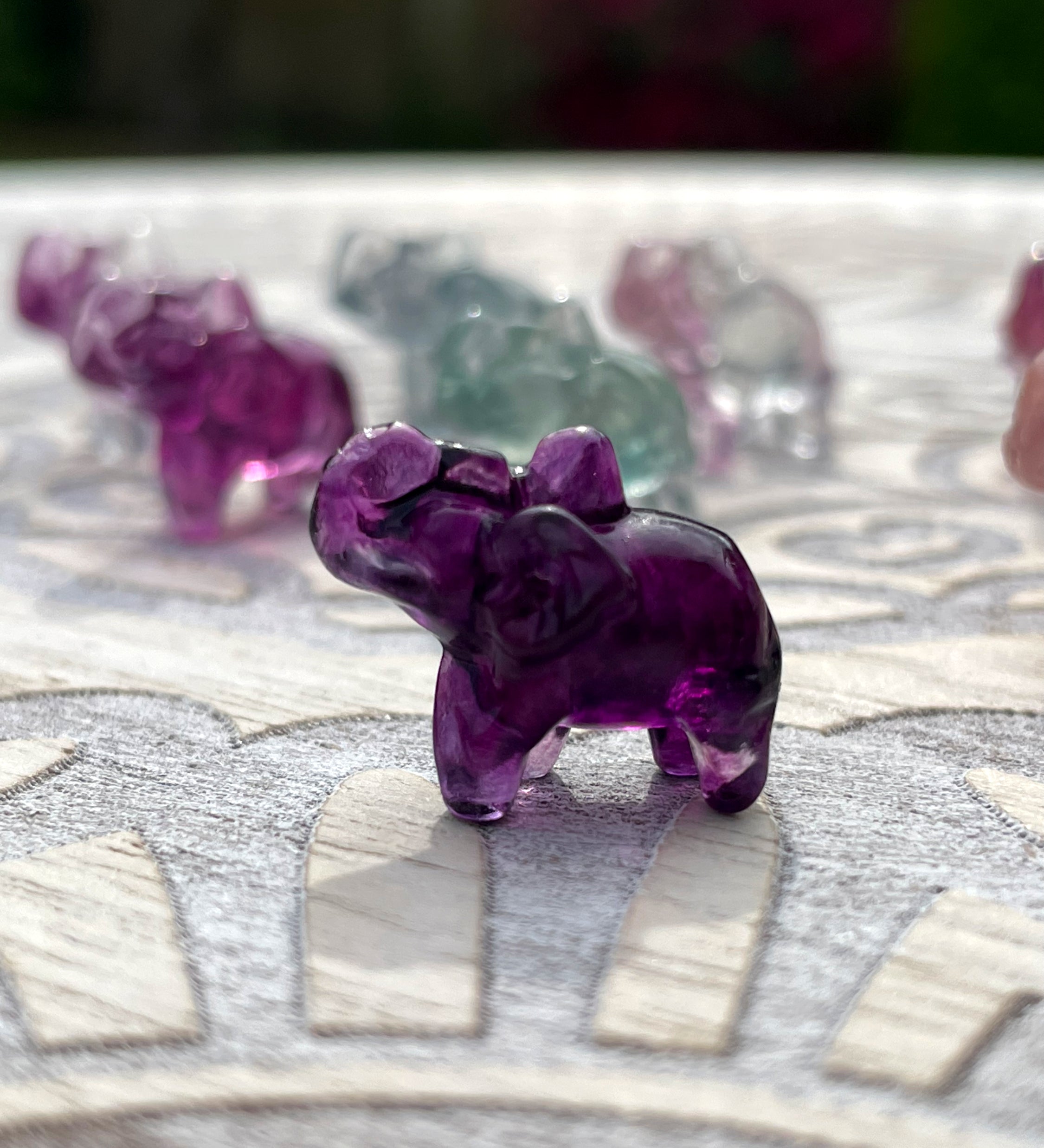 Rainbow Fluorite Mini Elephants image 3