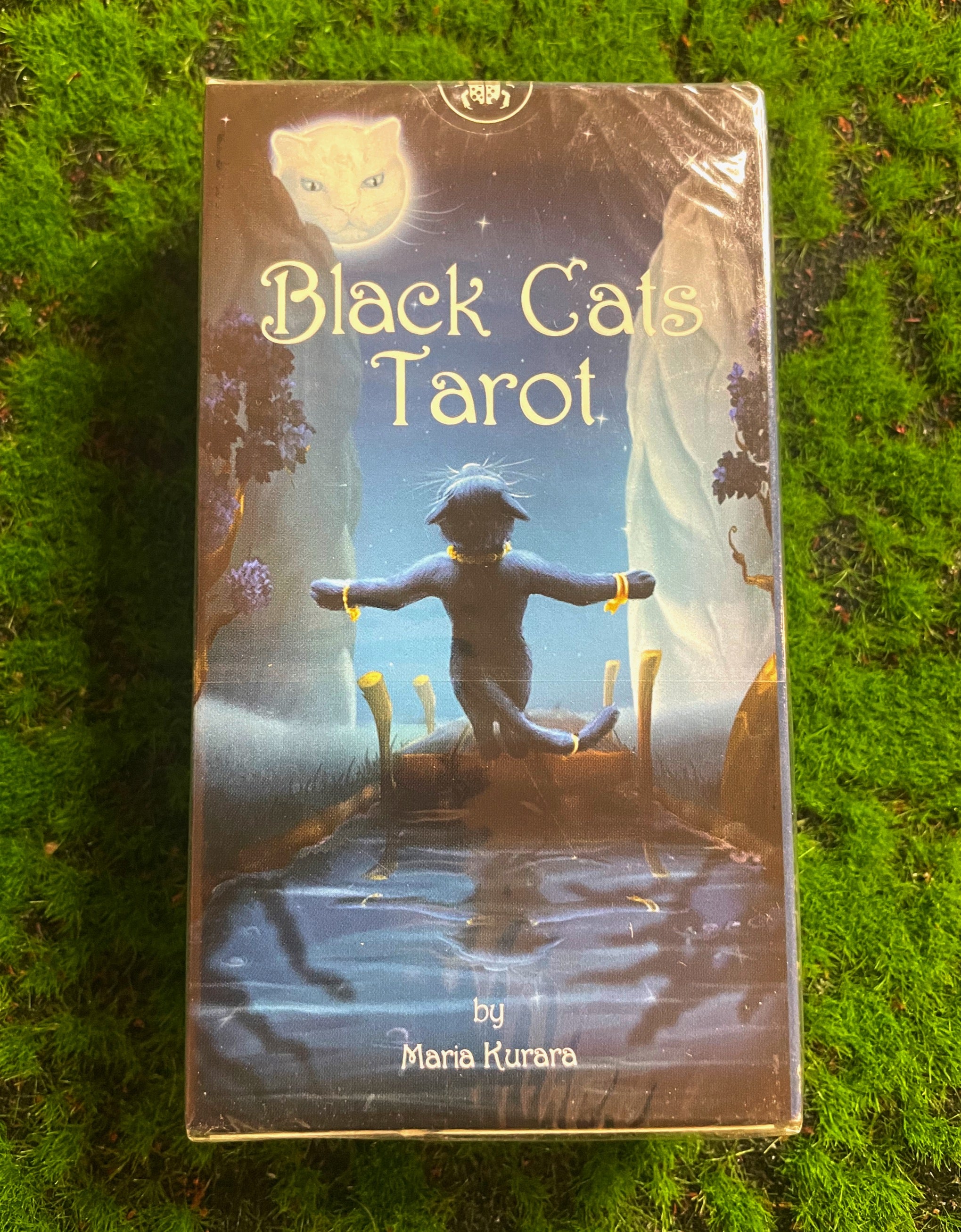 Black Cats Tarot Cards image 0