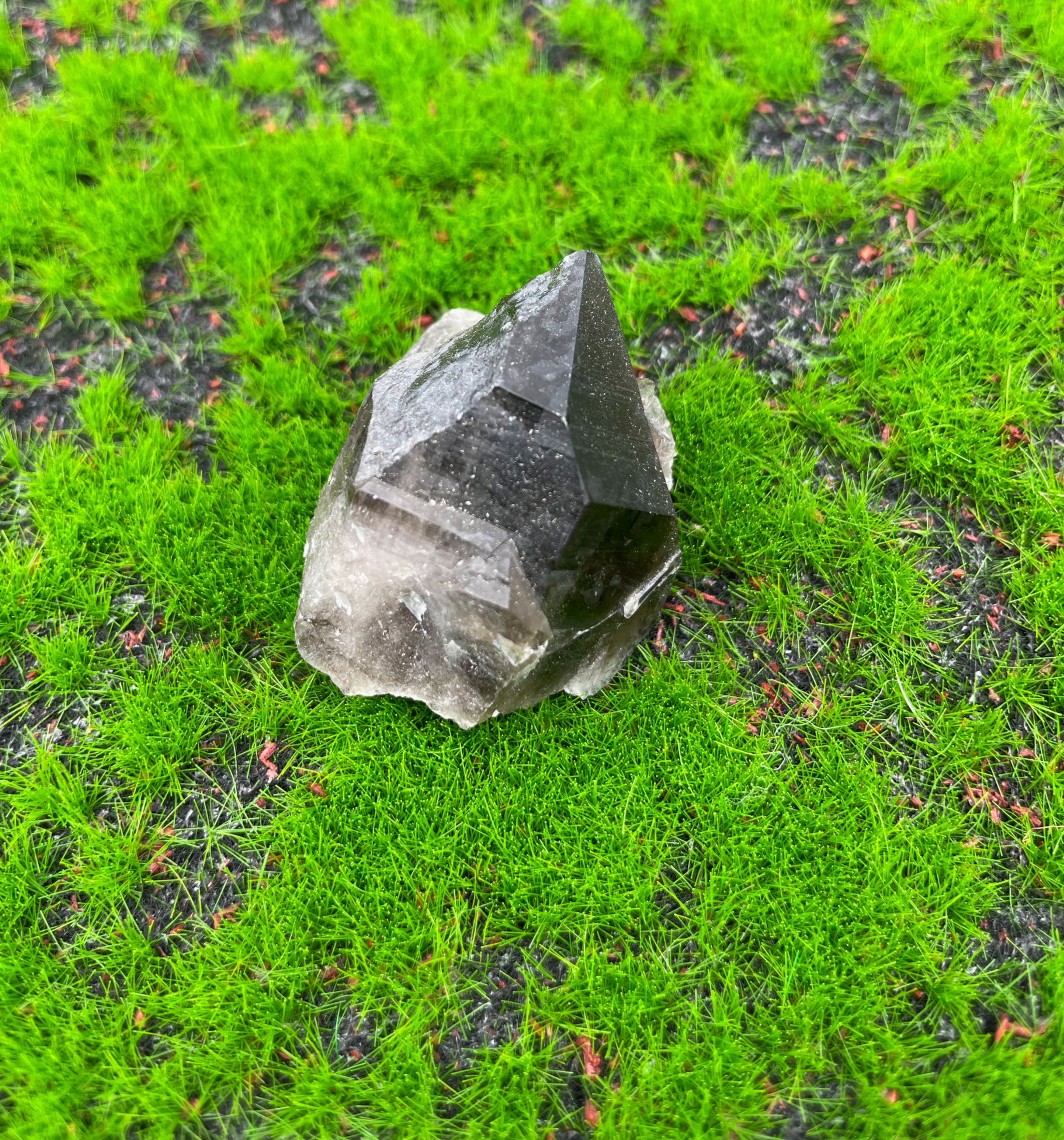 Smokey Quartz Cluster (Medium) image 1