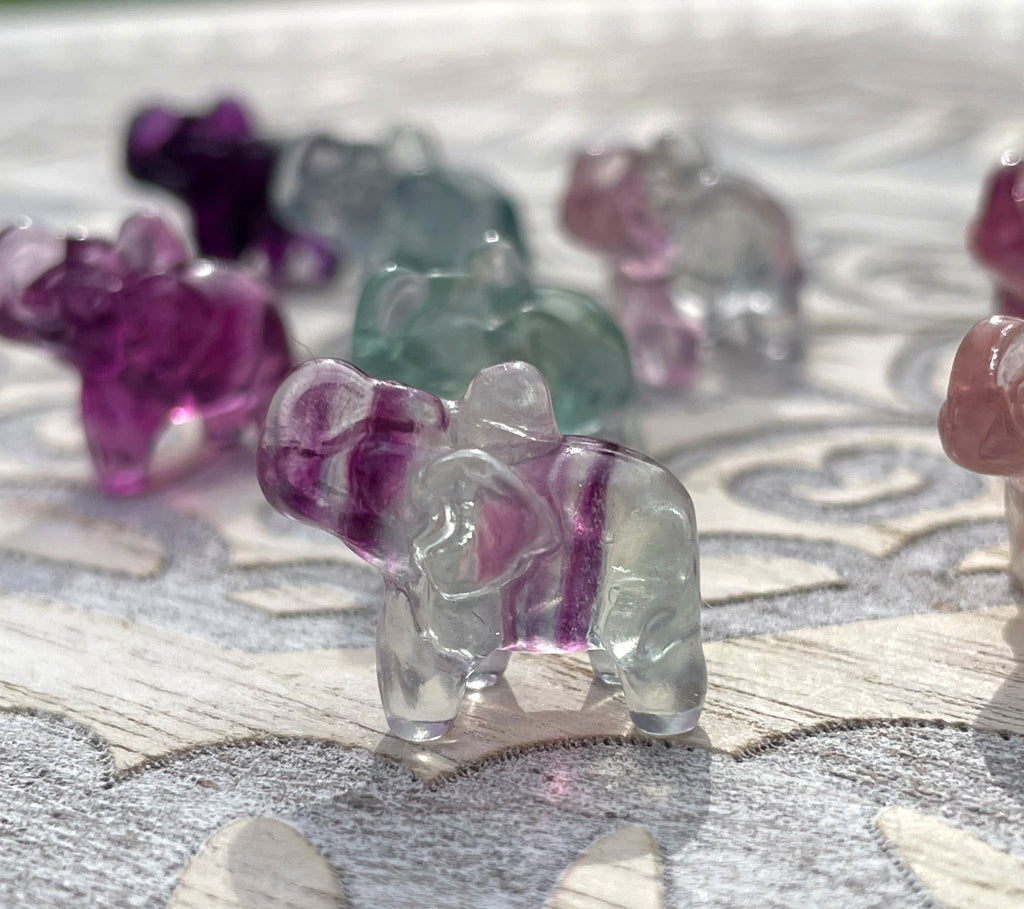 Rainbow Fluorite Mini Elephants image 2