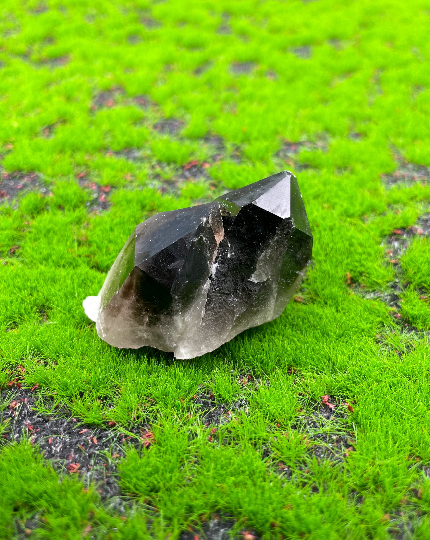 Smokey Quartz Cluster (Medium) image 1