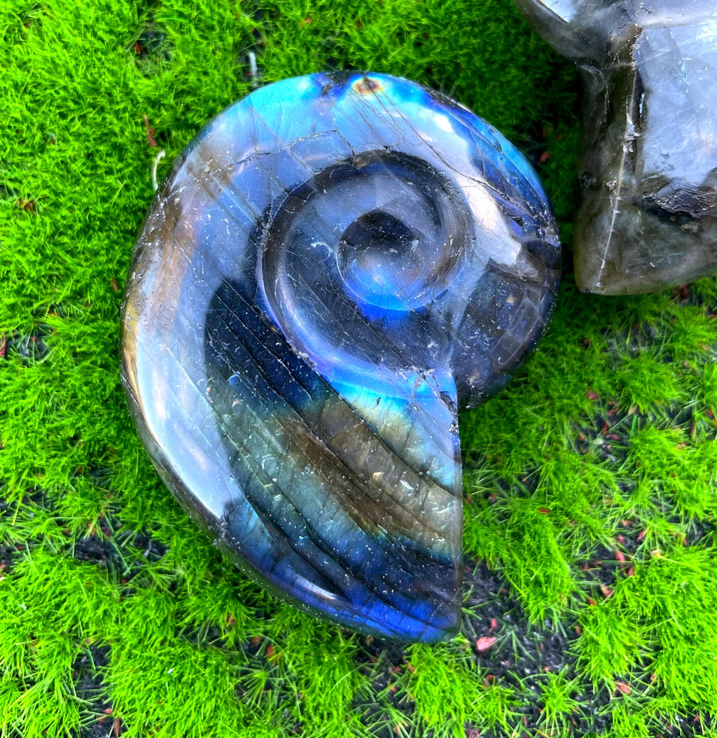 Labradorite Ammonite Carving image 3