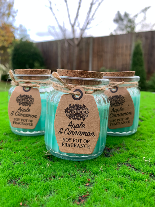 Apple & Cinnamon Soy Candle image 0