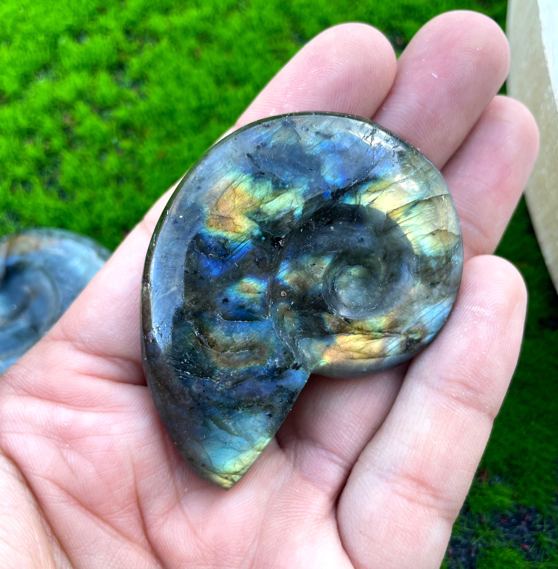 Labradorite Ammonite Carving image 0