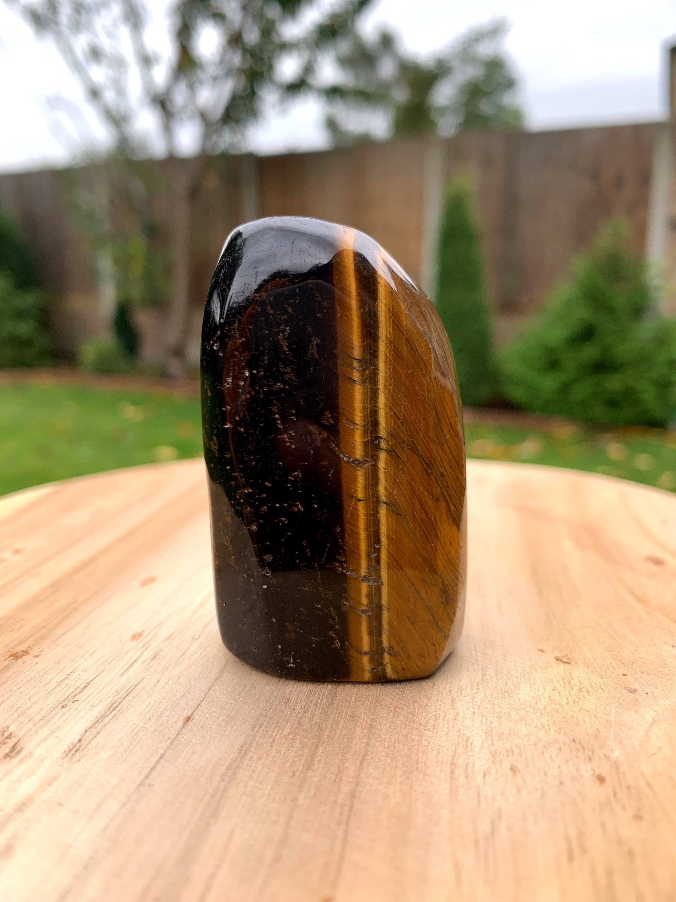 Tigers Eye Freeform image 1