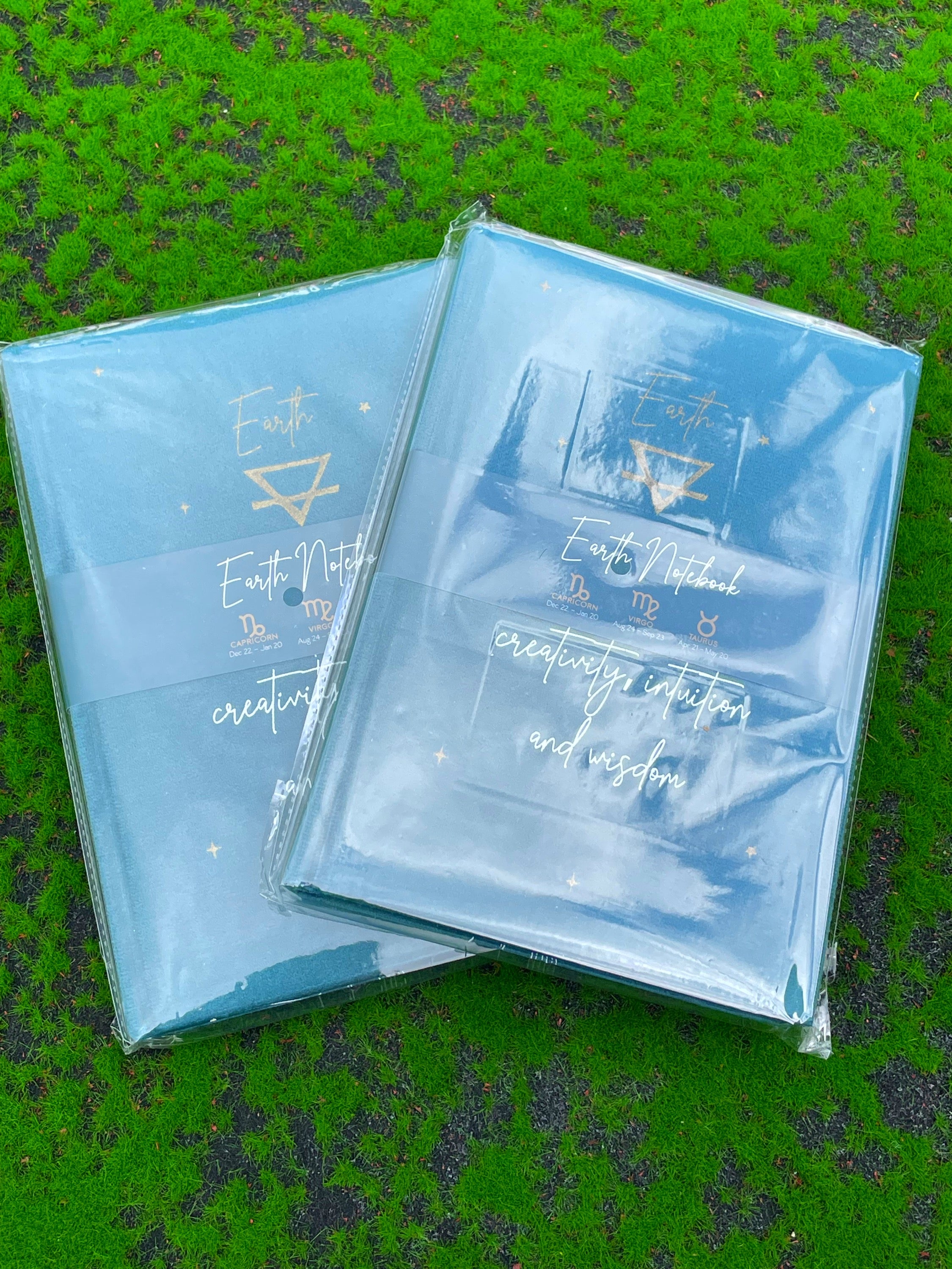Earth Sign Notebook image 1