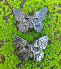 Obsidian Skull Moth Carving image 0