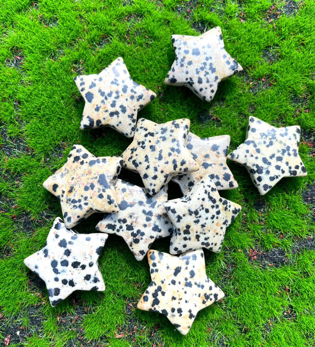 Dalmation Jasper Star Carving image 1