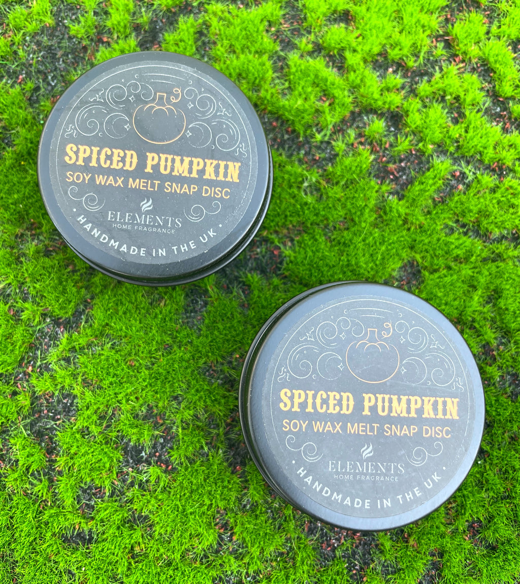 Spiced Pumpkin Soy Wax Snap Disc image 1