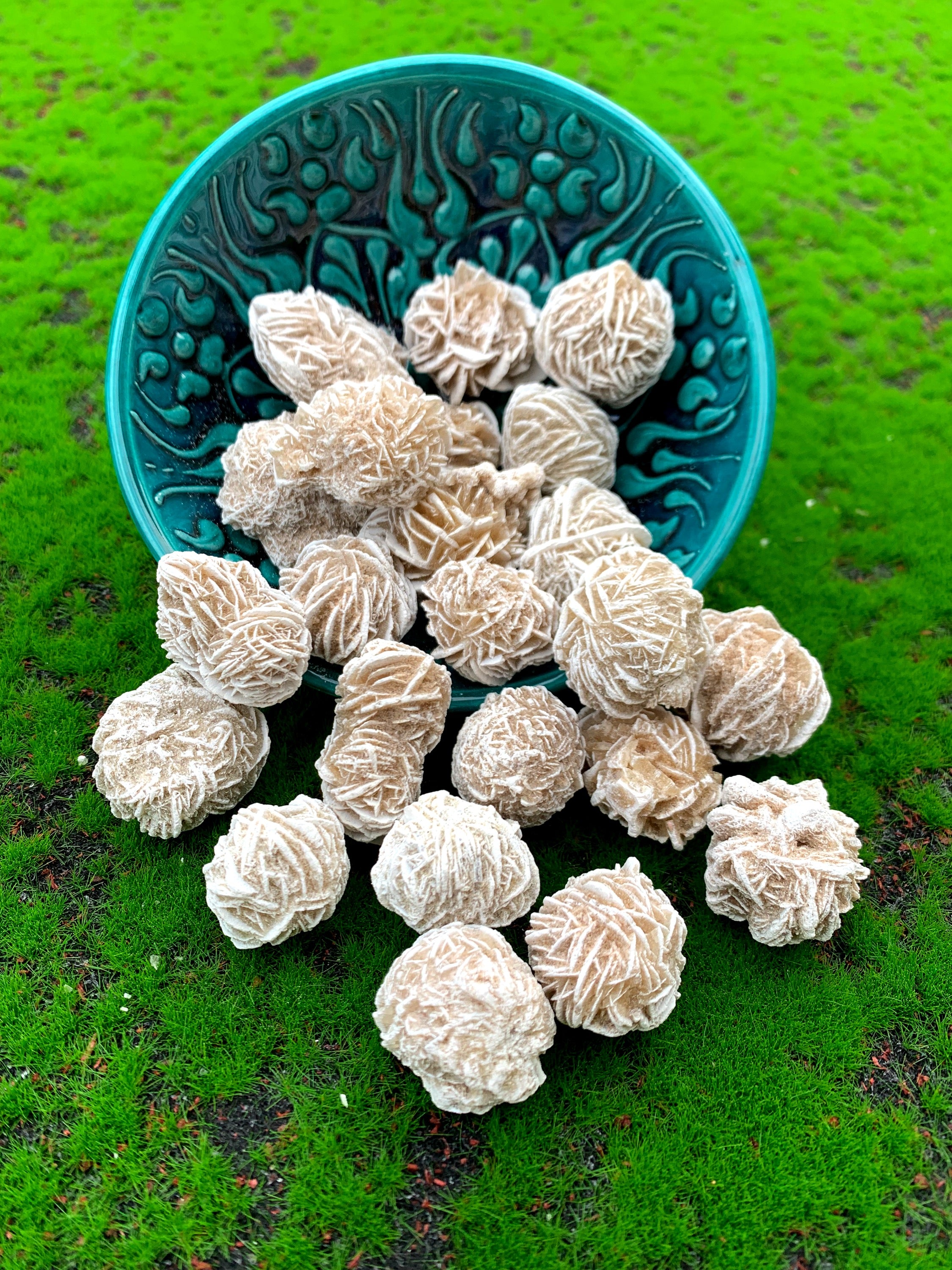 Desert Rose image 0