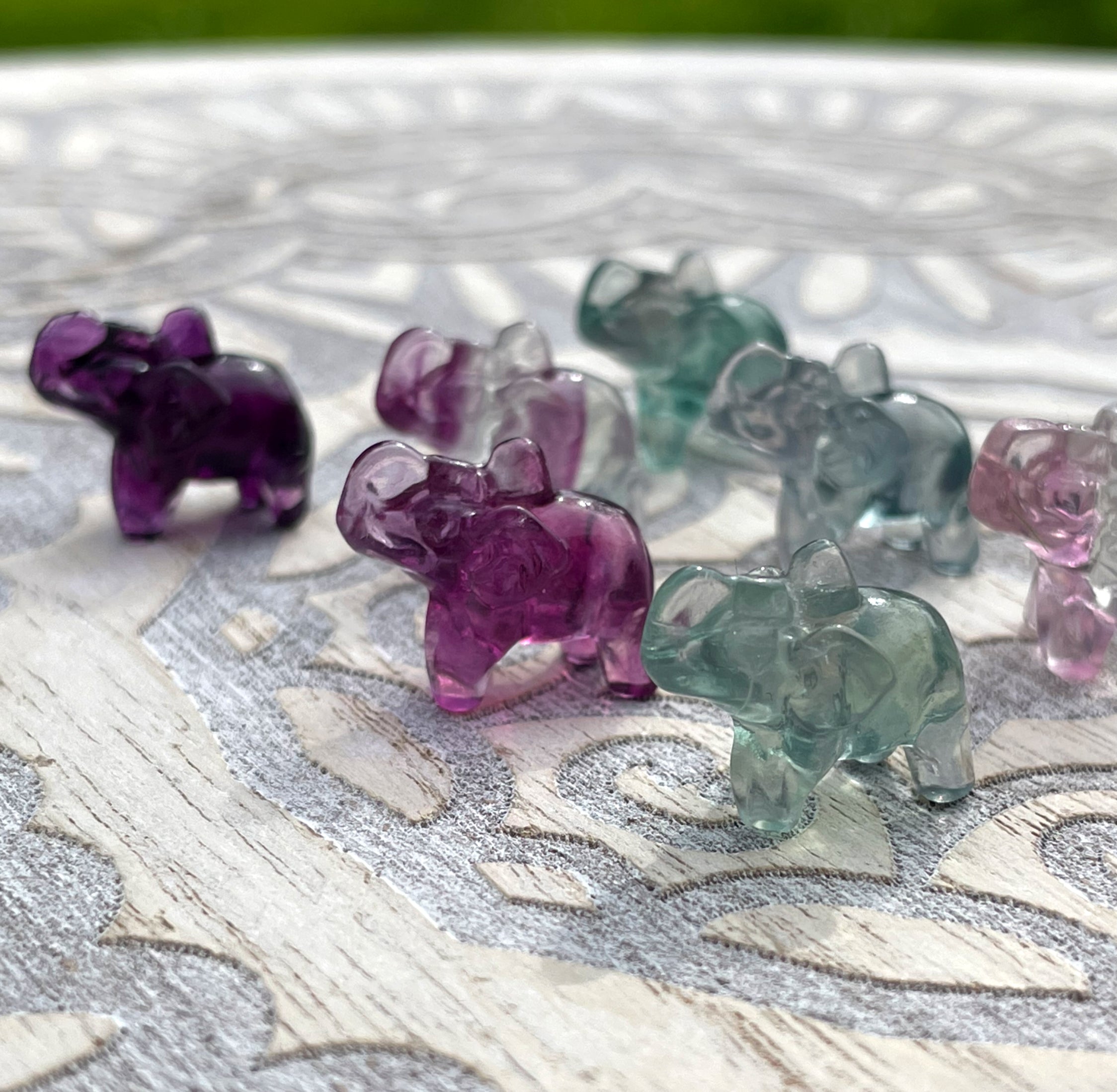 Rainbow Fluorite Mini Elephants image 0