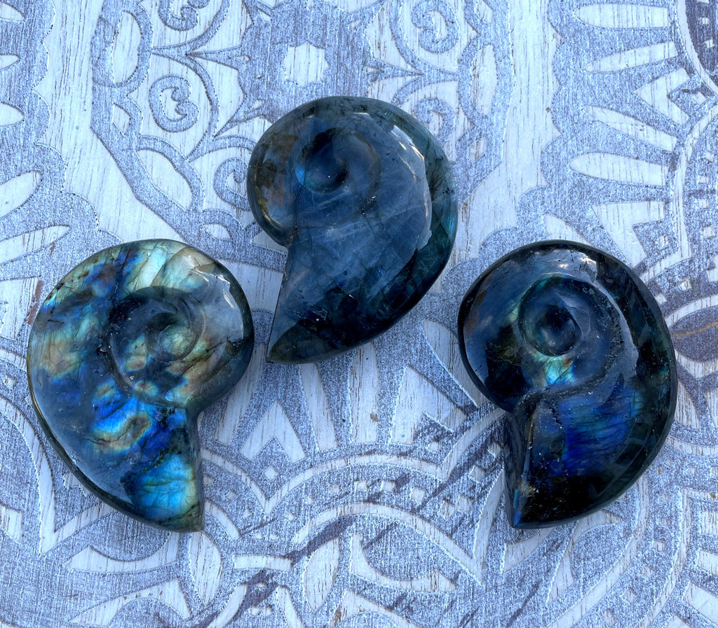 Labradorite Ammonite Carving image 2