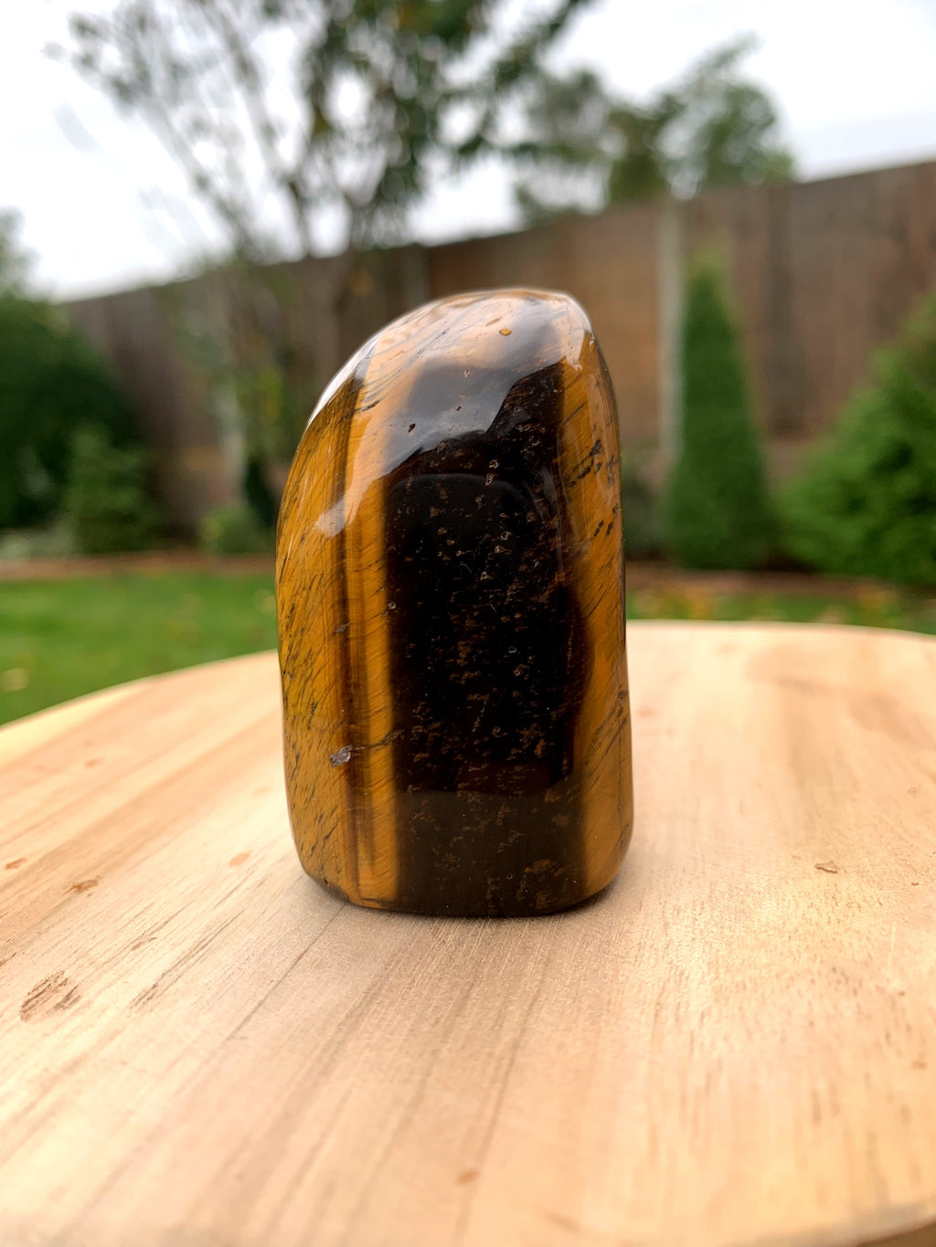Tigers Eye Freeform image 2